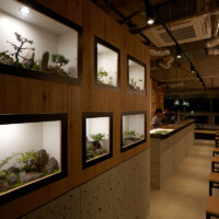 D-HOSTEL | designed by YOSHINORI AKAMATSU